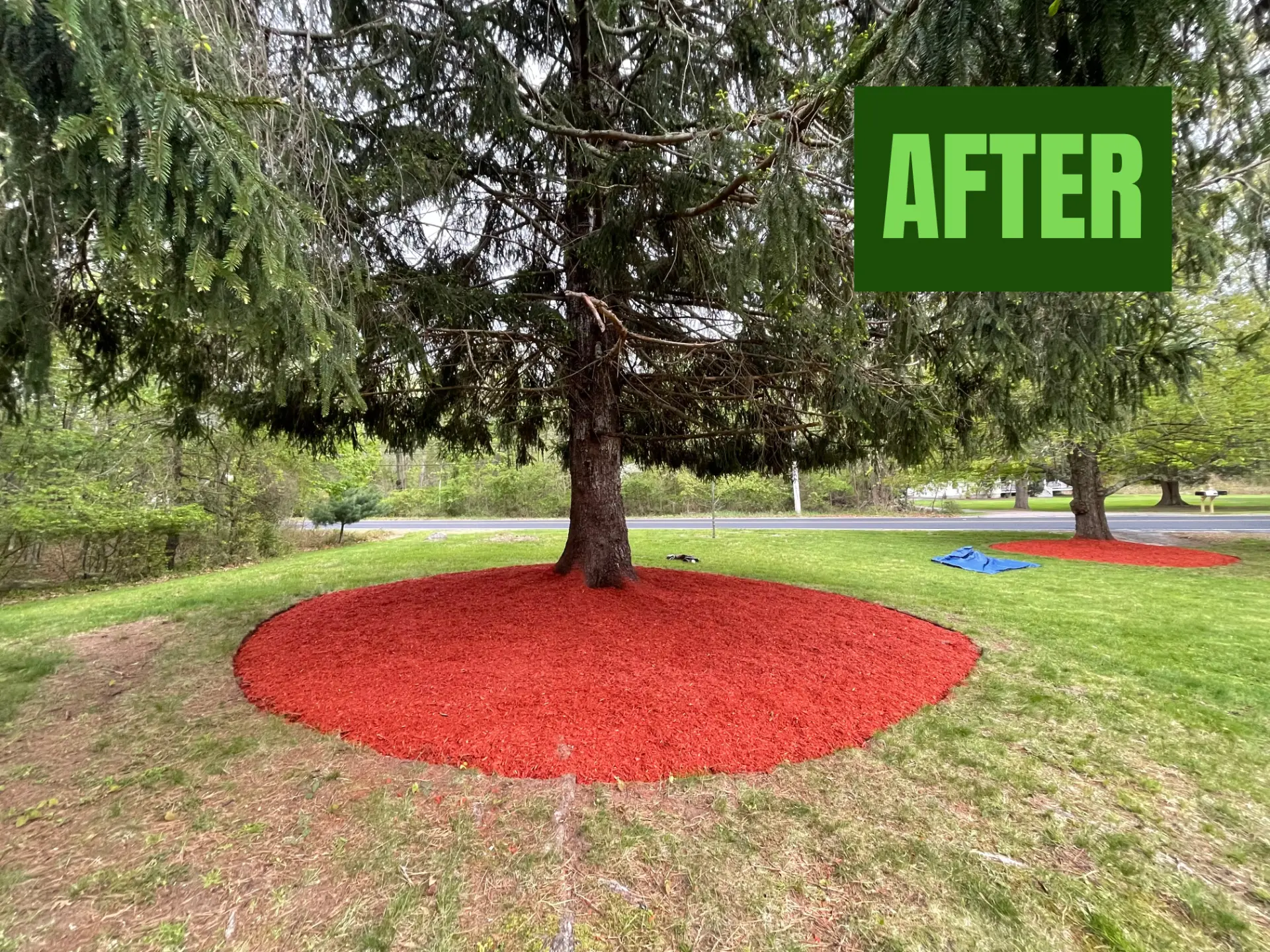 Mulch Ring after