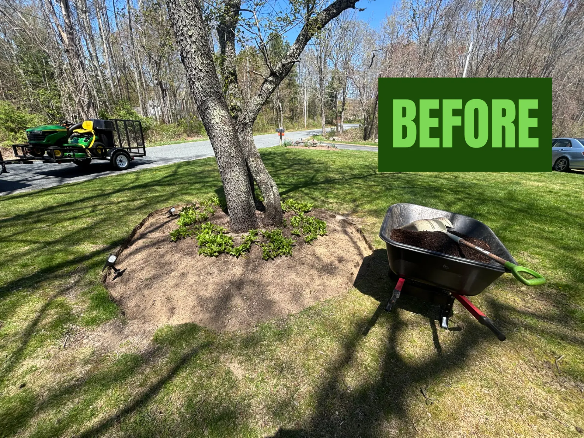 Tree bed before mulch installation