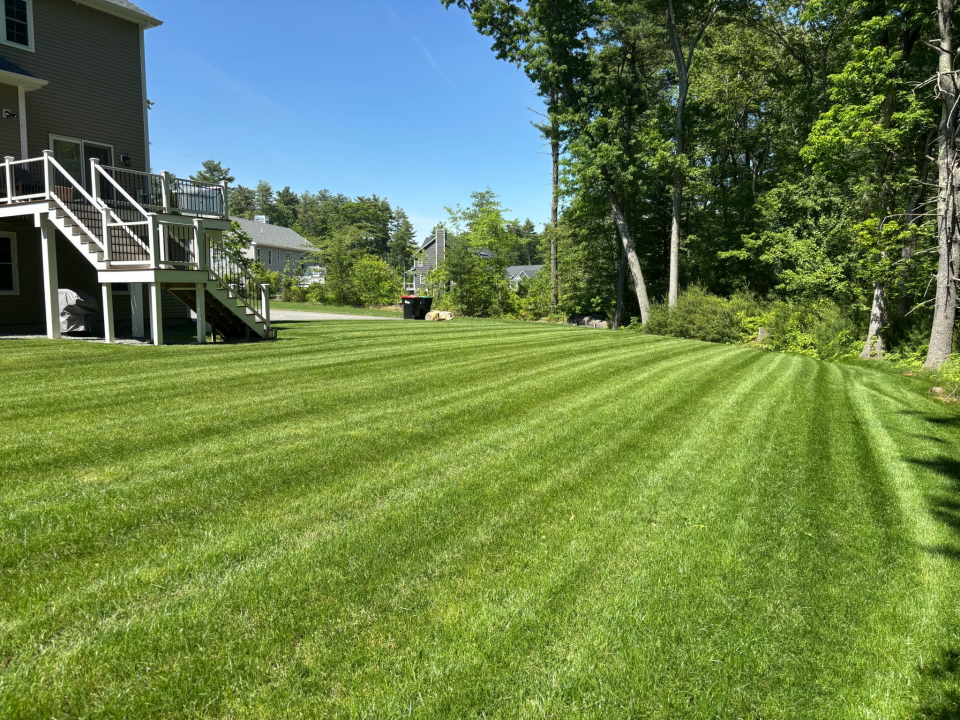 Freshly striped backyard lawn beside a deck