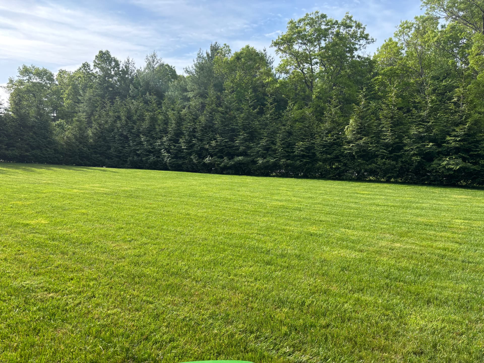 Lush green lawn bordered by evergreens
