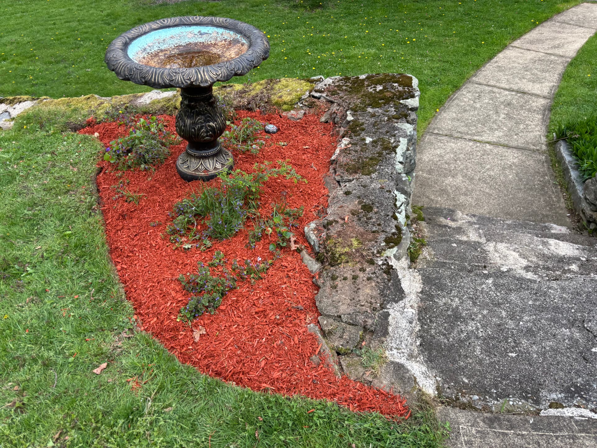 Red mulch bed around a birdbath beside a stone wall