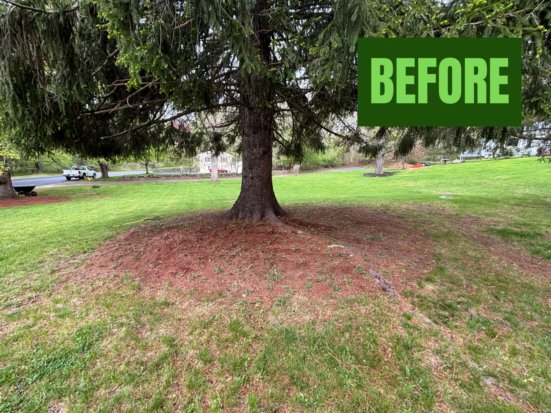 Mulch Ring before